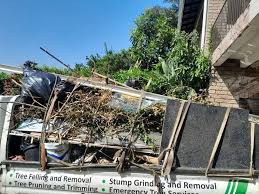 Best Yard Waste Removal  in Carmel, IN